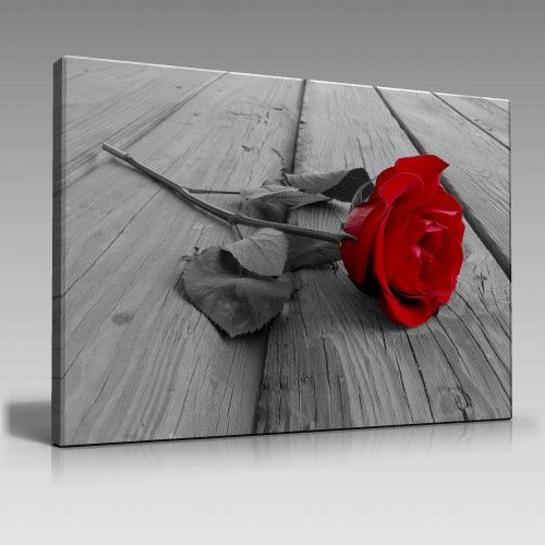 Kırmızı Gül Renksiz Arka Plan Tablo (100cm x 70cm)