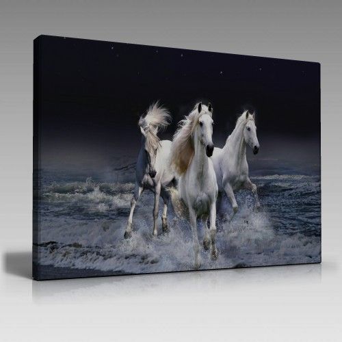 Atlar (135cm x 90cm)