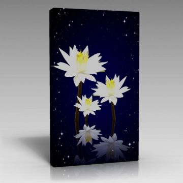 V628 (80cm x 120cm)