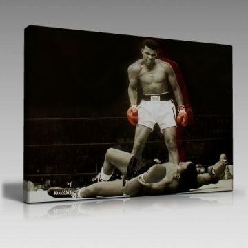 V1264 (45cm x65cm)