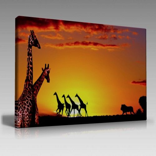 V507 (135cm x 90cm)