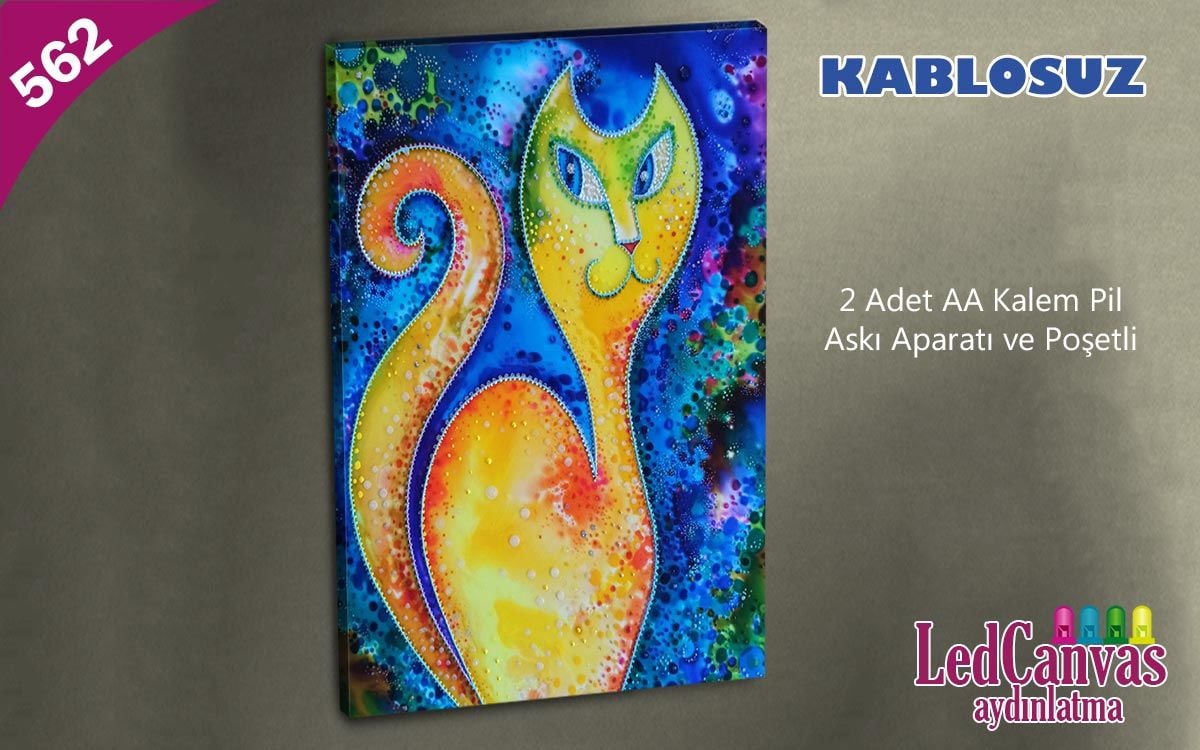 Kedi  Led Işıklı Kanvası Tablo