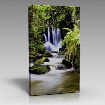 V735 (80cm x 120cm)