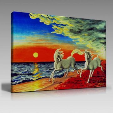 V509 (45cm x65cm)
