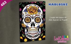 Renkli Kuru Kafa Led Işıklı Tablo