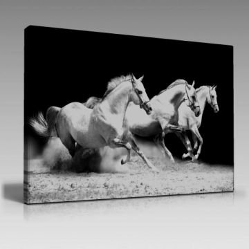 V1039 (45cm x65cm)