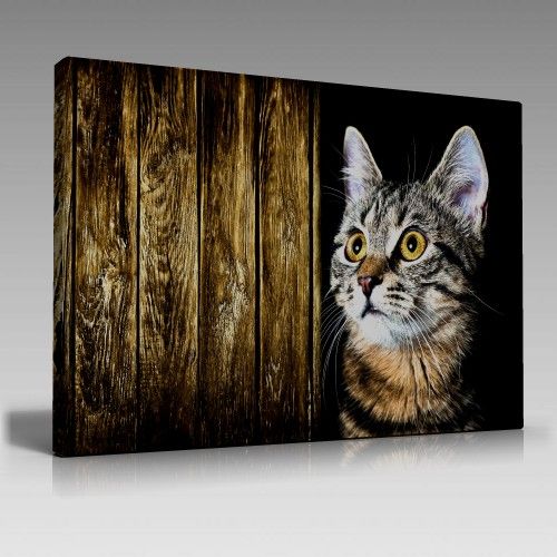 Masum Kedi Tablo (100cm x 70cm)