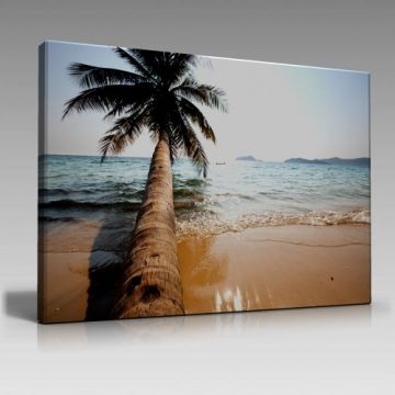 V513 (120cm x 80cm)