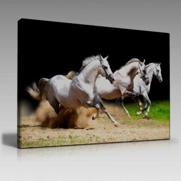 V1041 (100cm x 70cm)