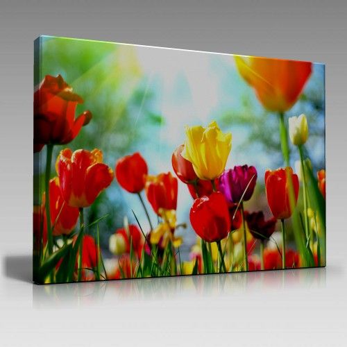 Rengarenk Laleler Tablo (100cm x 70cm)