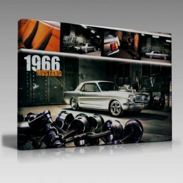 Mustangs Efsane (45cm x65cm)