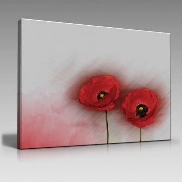 Gelincikler Sanatsal Tablo (45cm x65cm)