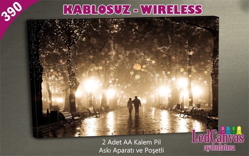 Aşıklar Led Işıklı Kanvas Tablo