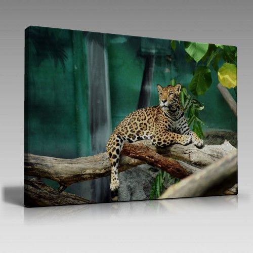 Kaplan Tablo (100cm x 70cm)