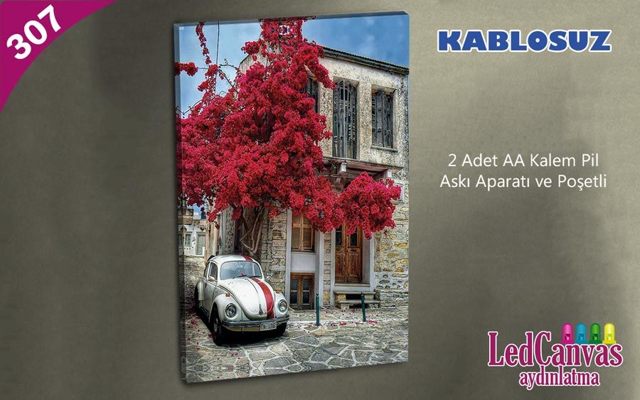 Woswos Araba Çiçekli Ev Led Işıklı Kanvas Tablo