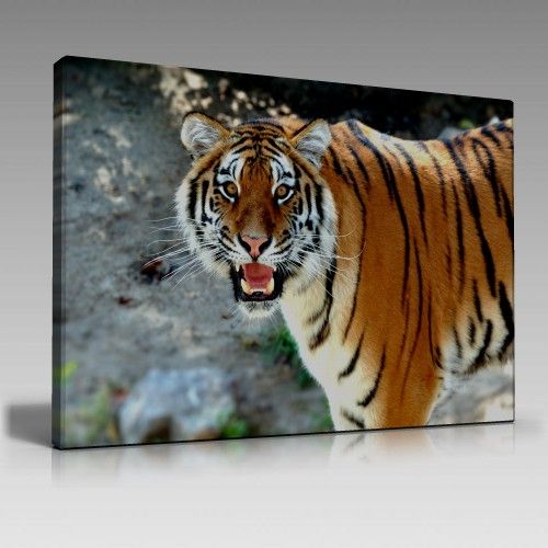 Tiger Tablo (135cm x 90cm)