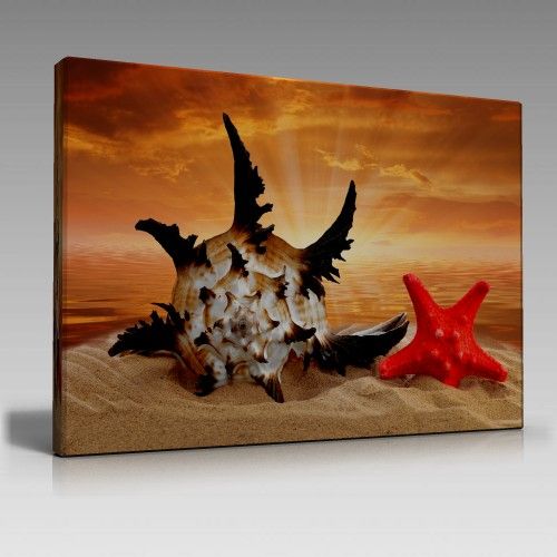 V657 (45cm x65cm)