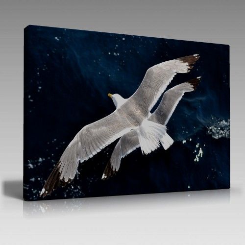 V902 (90cm x 60cm)