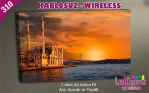 Mavi Kurt Led Işıklı Kanvas Tablo 45x65 cm