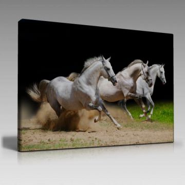 V1296 (100cm x 70cm)