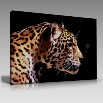 Kaplan-2 Tablo (90cm x 60cm)