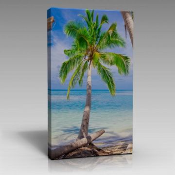 Palmiye Ağacı ve Deniz Tablo (80cm x 120cm)