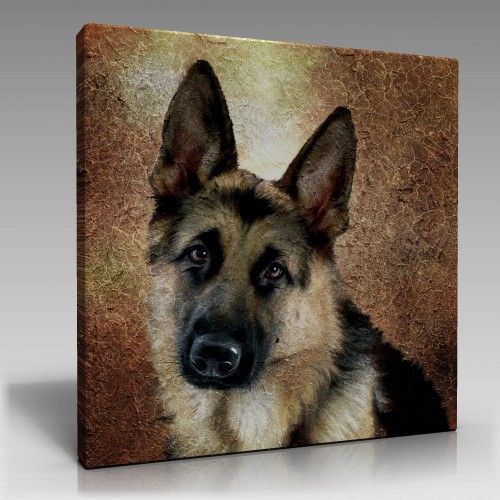 Kurt Köpeği Tablo