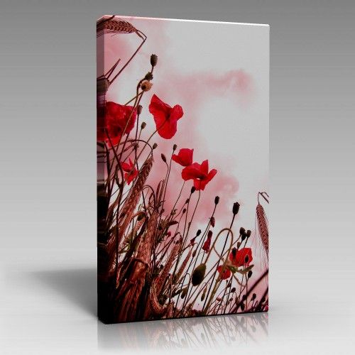 V1449 (70cm x 100cm)