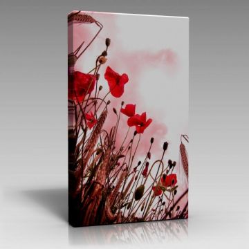 V1449 (70cm x 100cm)