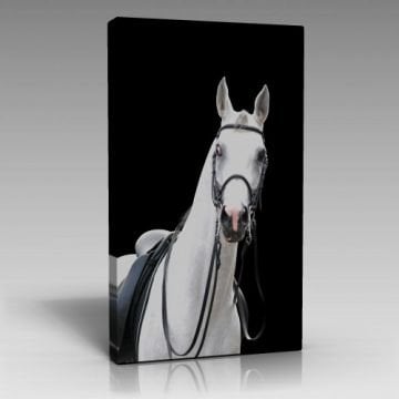 At-2 Tablo (45cm x 65cm)