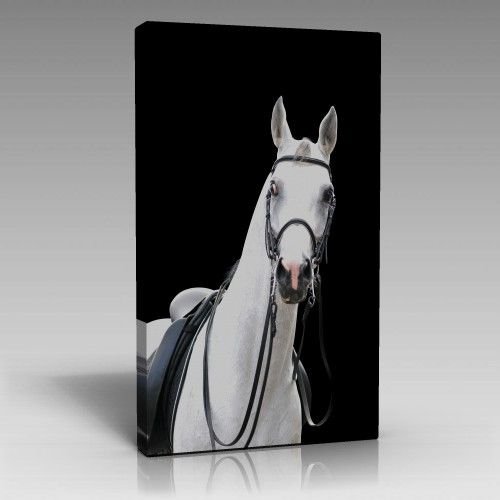 At-2 Tablo (70cm x 100cm)